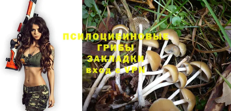 Галлюциногенные грибы GOLDEN TEACHER  Краснотурьинск 